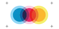 codolis partneri share foundation